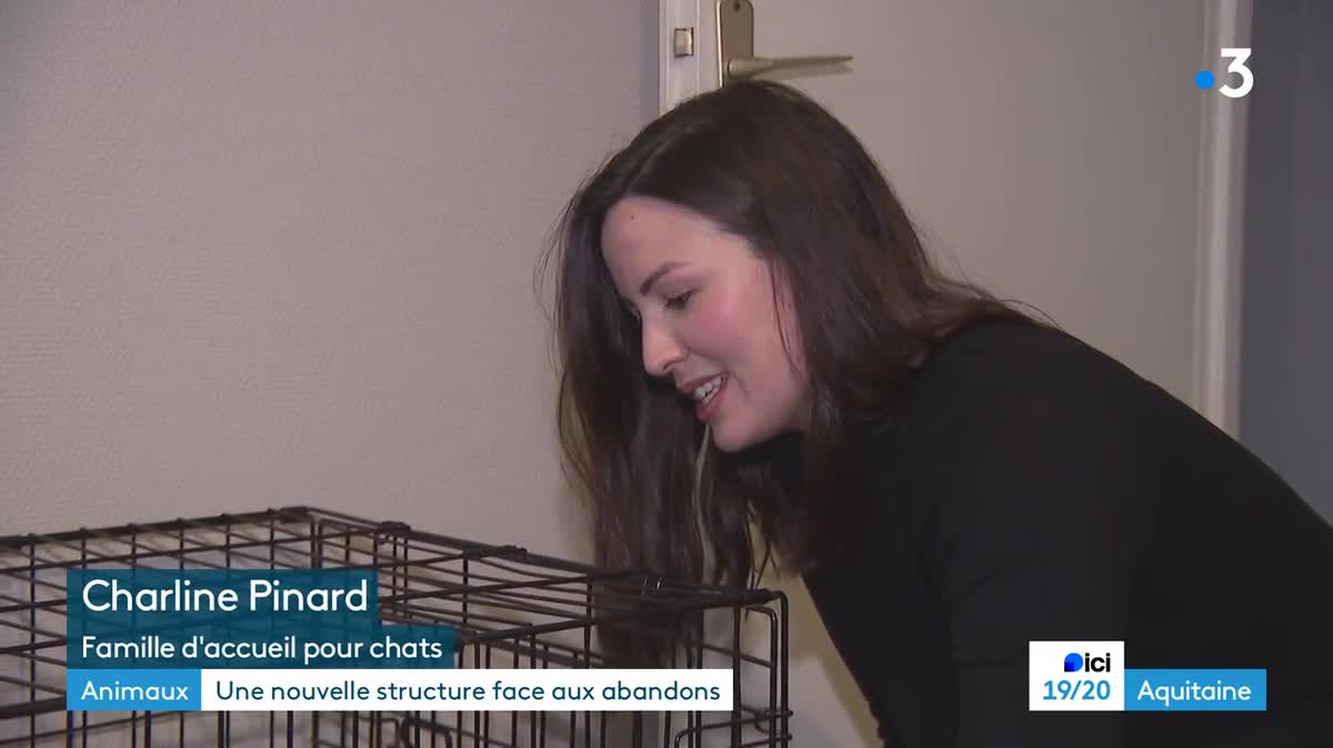 L’association Esmavuda recueillent les animaux abandonnés depuis octobre 2023.