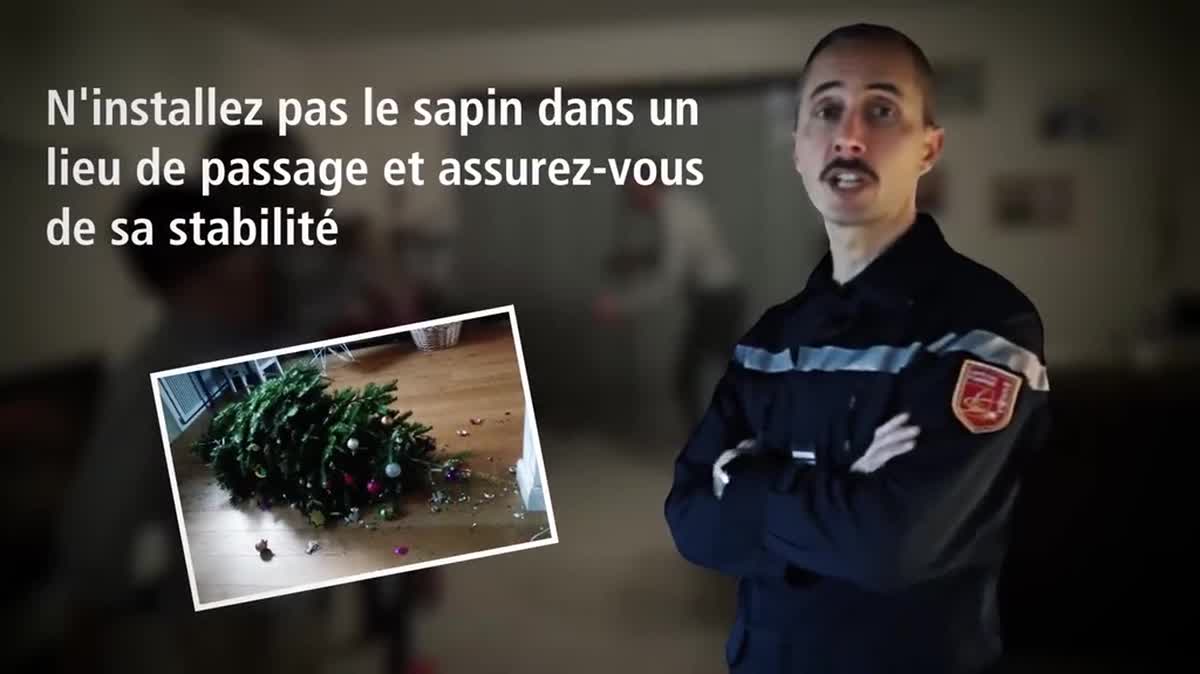 Les sapins sont un combustible de premier choix et peuvent facilement s'enflammer.