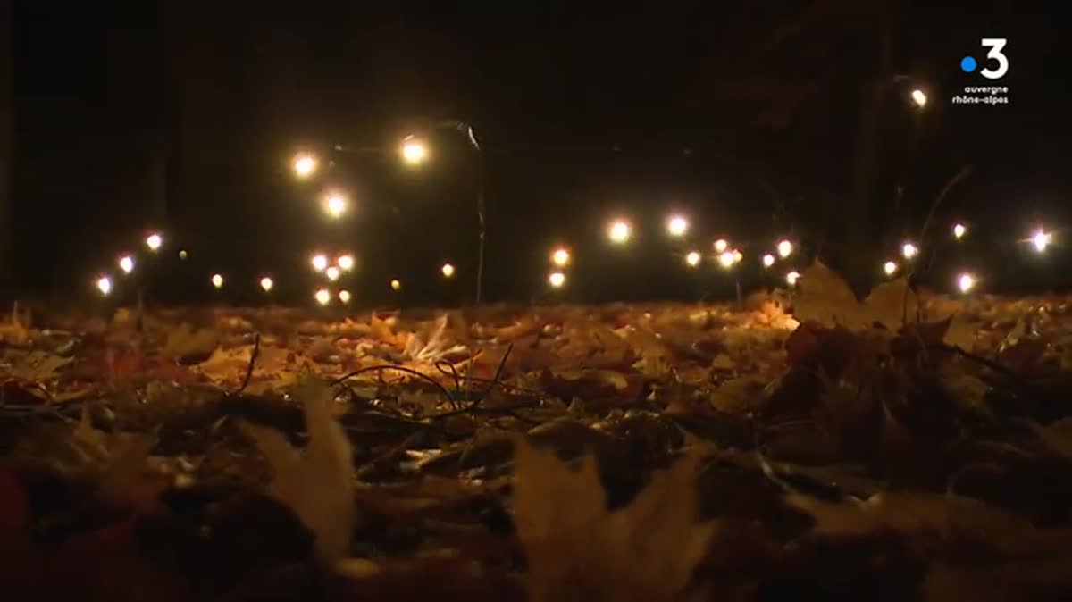 Trente œuvres lumineuses sont à découvrir à Lyon, pour l'édition 2022 de la Fête des Lumières.