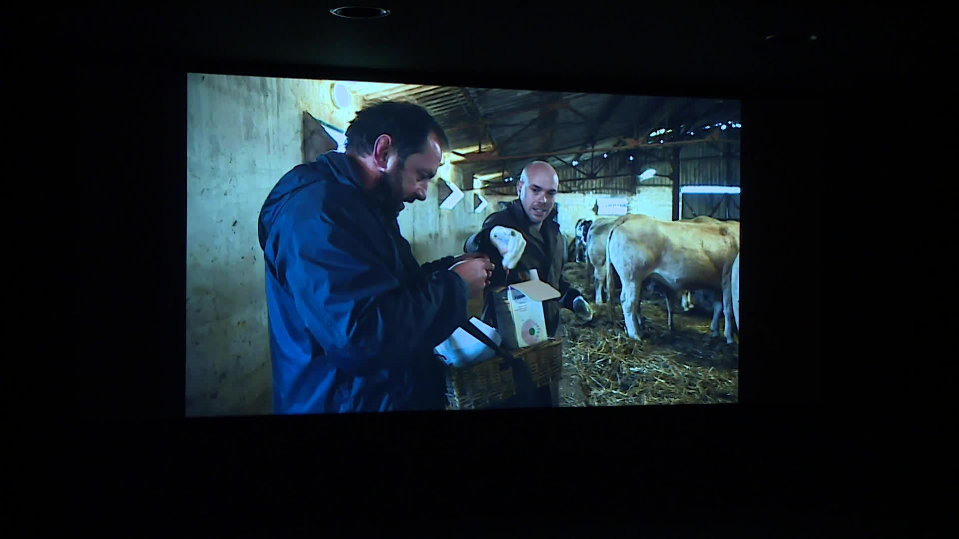 "L'amour vache", le nouveau documentaire d'Edouard Bergeon