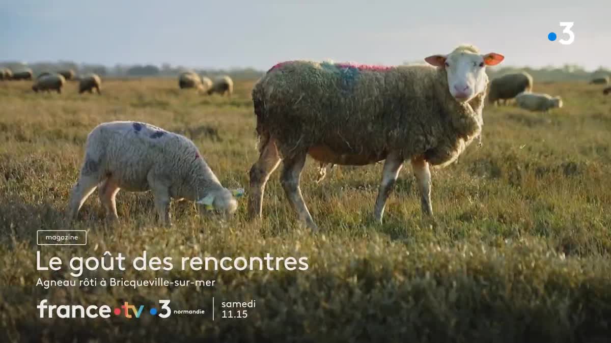 David Gallienne et Julien se préparent à griller l'agneau pour leur recette.