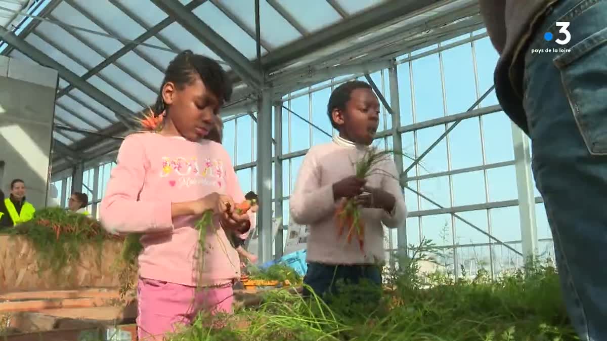 Depuis 6 mois des habitants d'un immeuble HLM de Nantes profitent d'une serre inaugurée sur le toit de leur bâtiment. A la clé, légumes gratuits et une eau collective chauffée grâce à une pompe à chaleur