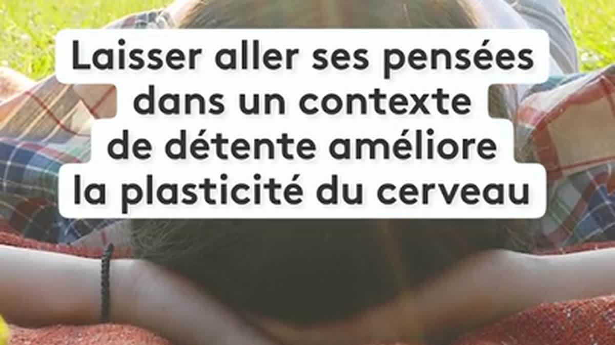 😡 La colère, 🌛 la rêverie 🥱ou la paresse sont bénéfiques pour l’être humain, c'est la science qui le dit ! Alors, pour les bonnes résolutions de 2024, autorisez-vous aussi l’imperfection