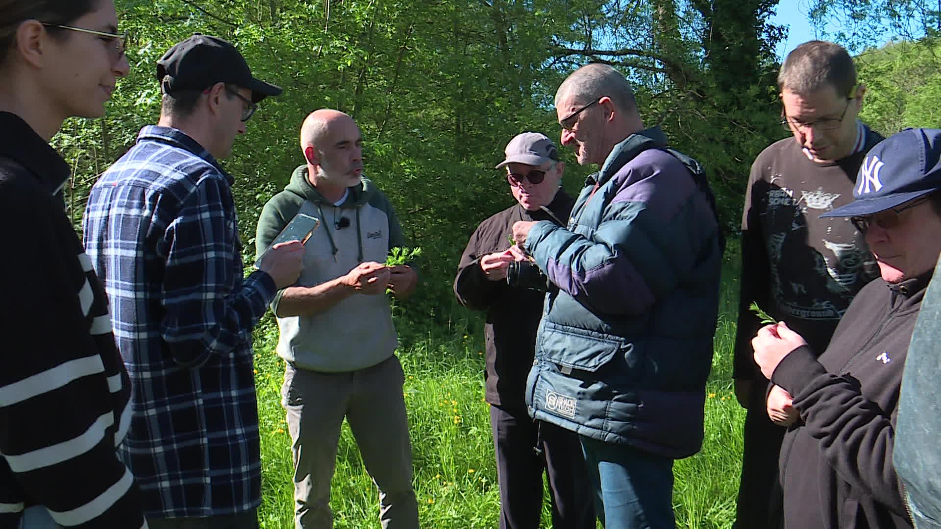 Pour découvrir la nature, un groupe de personnes en situation de handicap s'initie à la cueillette des plantes sauvages.