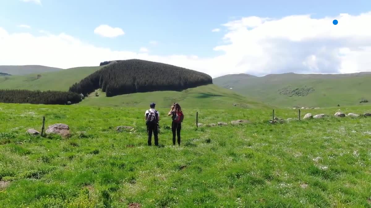 Le plateau du Cézallier en Auvergne se dévoile, avec le massif du Sancy qui se dessine en arrière-plan.