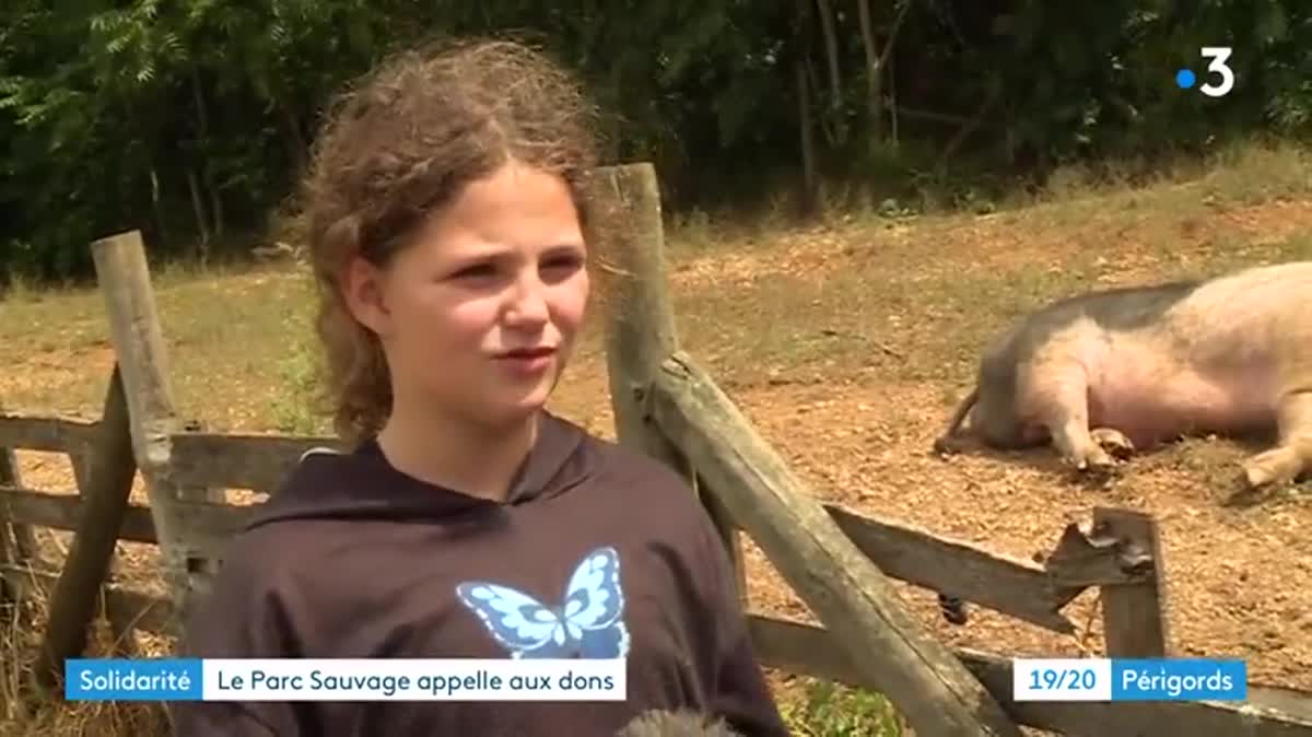 Célia s'occupe des animaux du Parc sauvage depuis sa création en 2019.