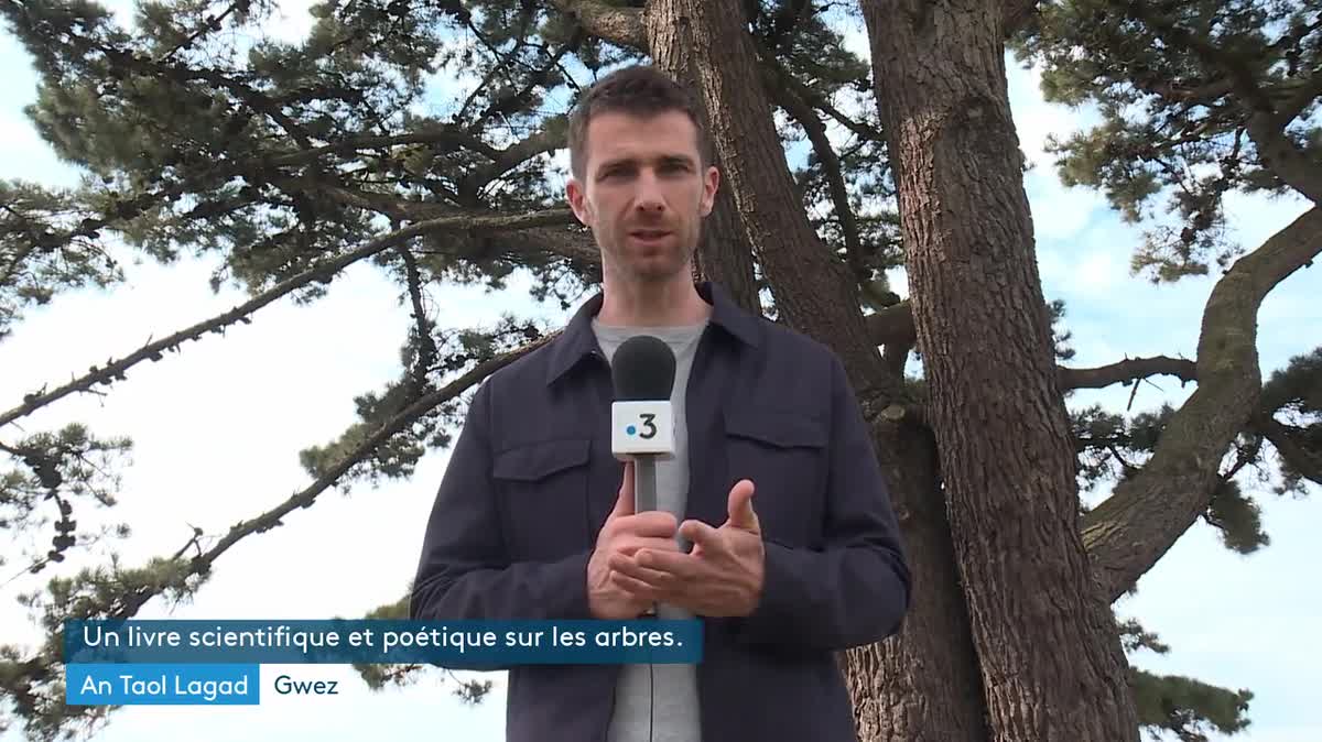 Emañ Les jardins de l'éveil o paouez digeriñ e Sant Tonan.