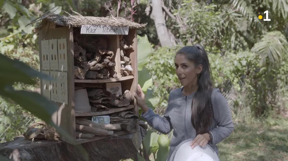 Loca'Terre : Autour des ruches du tour des roches