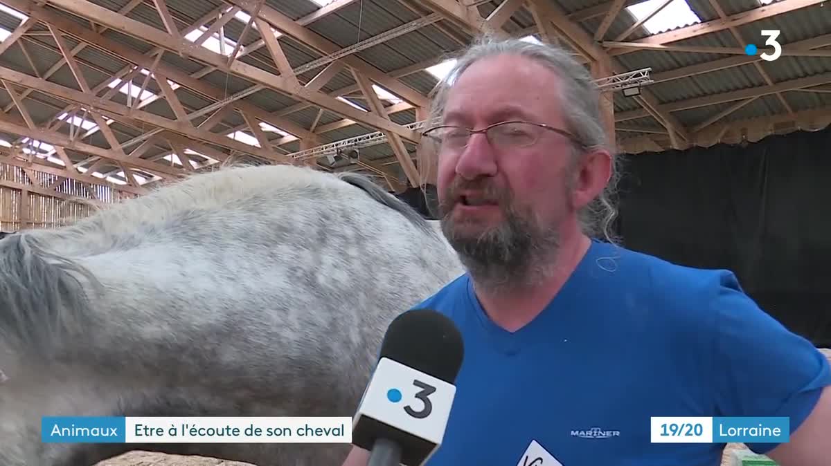 L'acteur Thierry Lhermitte, 70 ans, est cavalier depuis l’enfance.