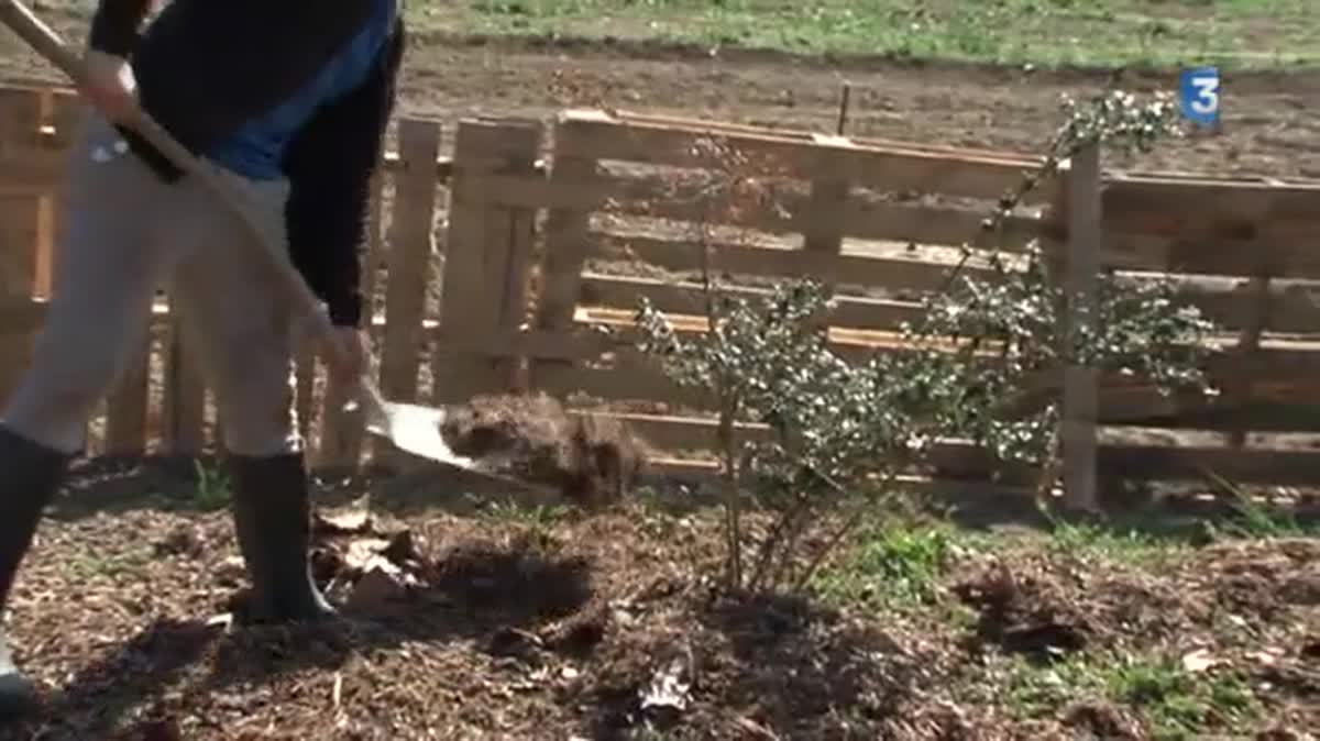 Chèvres élevées dans une exploitation bio des Bouches-du-Rhône