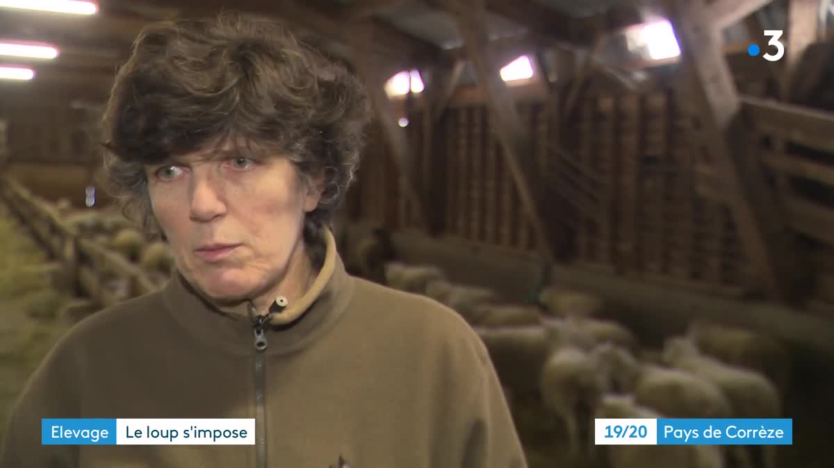 Rien que sur l'année 2019, Sophie De Boisgrellier a perdu 386 animaux.