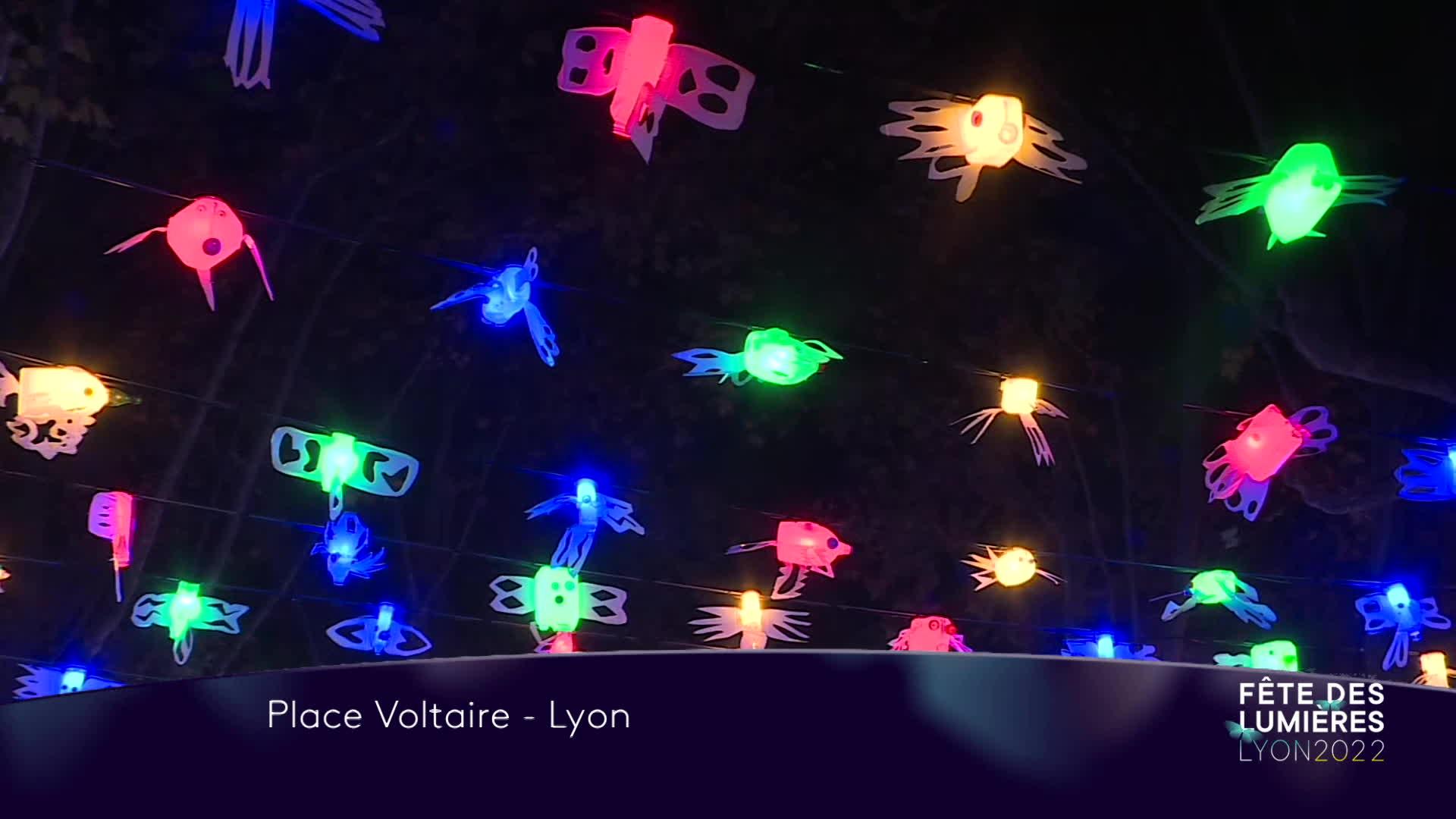 Dans le 3ème arrondissement, une volière colorée surplombe la place Voltaire pour cette nouvelle édition de la Fête des Lumières. Des volatiles luminescents confectionnés par des enfants du quartier.