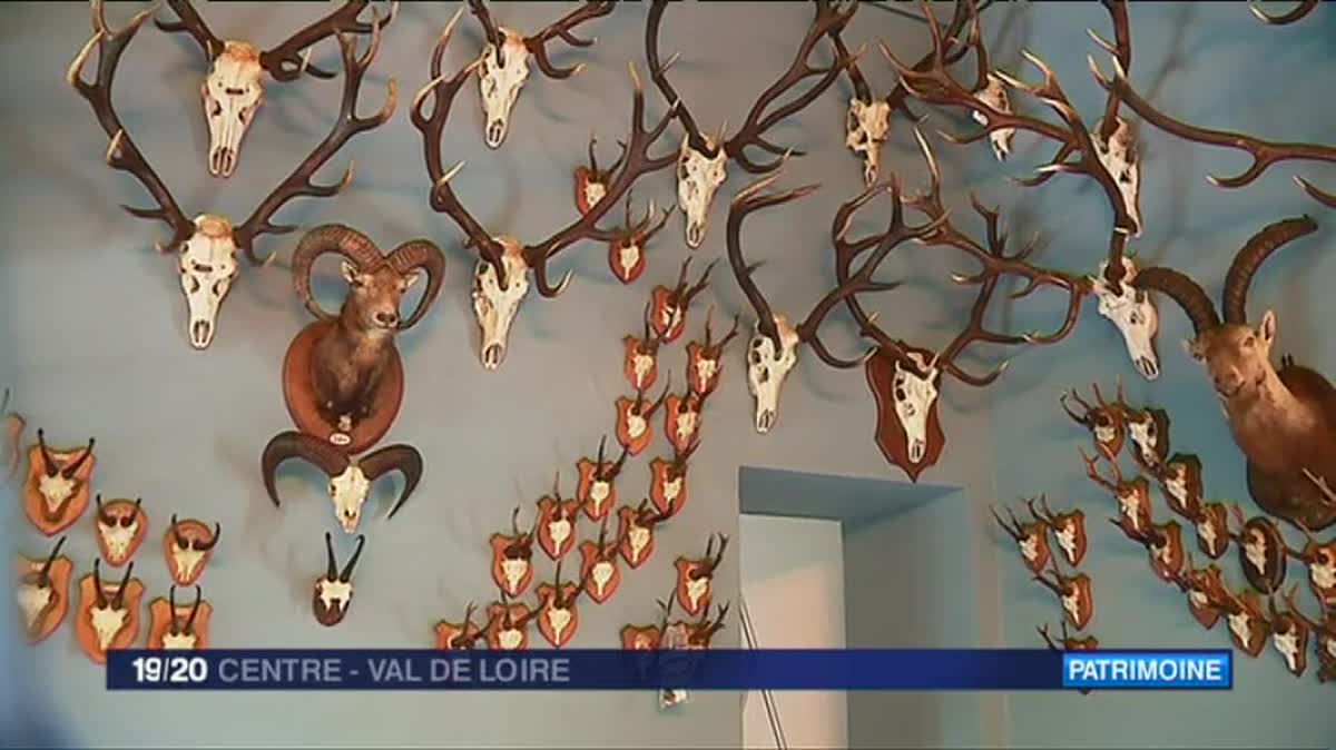 Musée de la chasse, château de Gien 