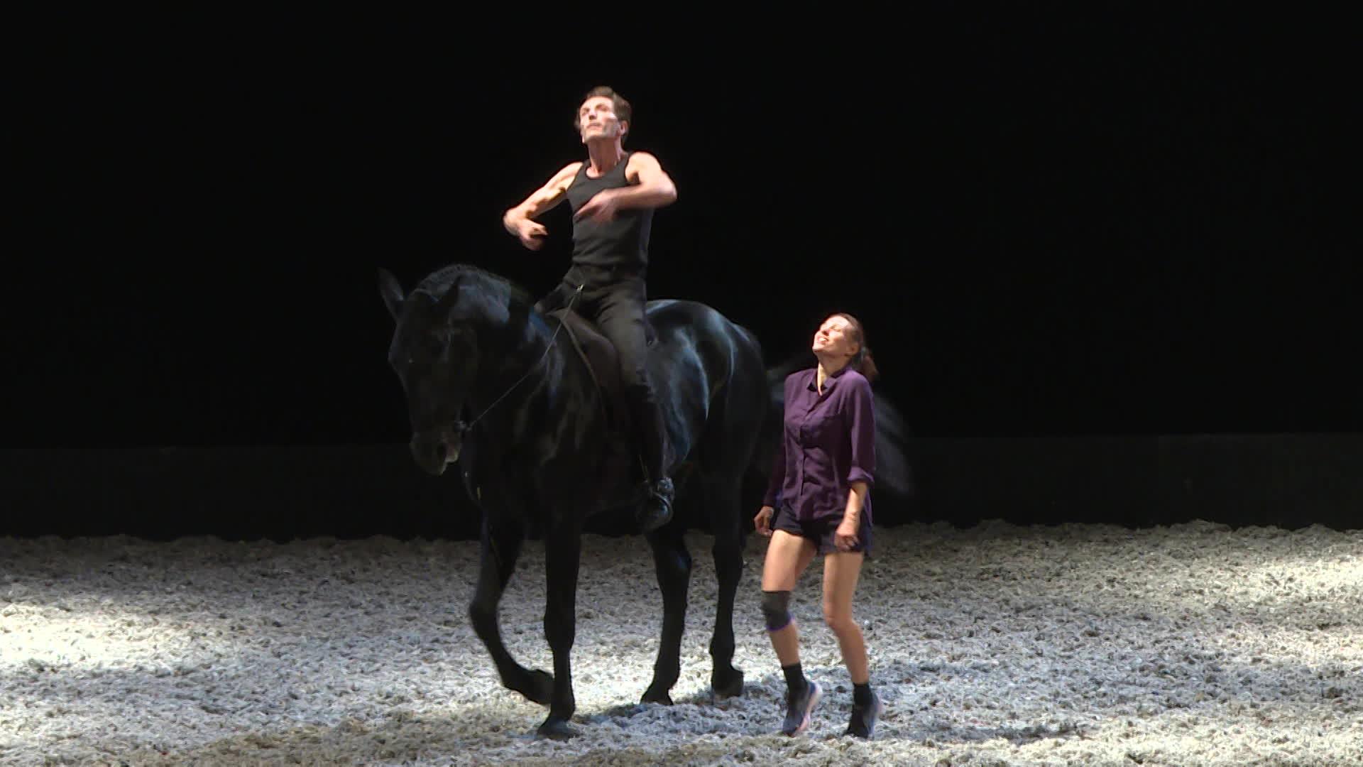 Le spectacle "Animal" se met en quête de la symbiose entre l'Homme et le cheval