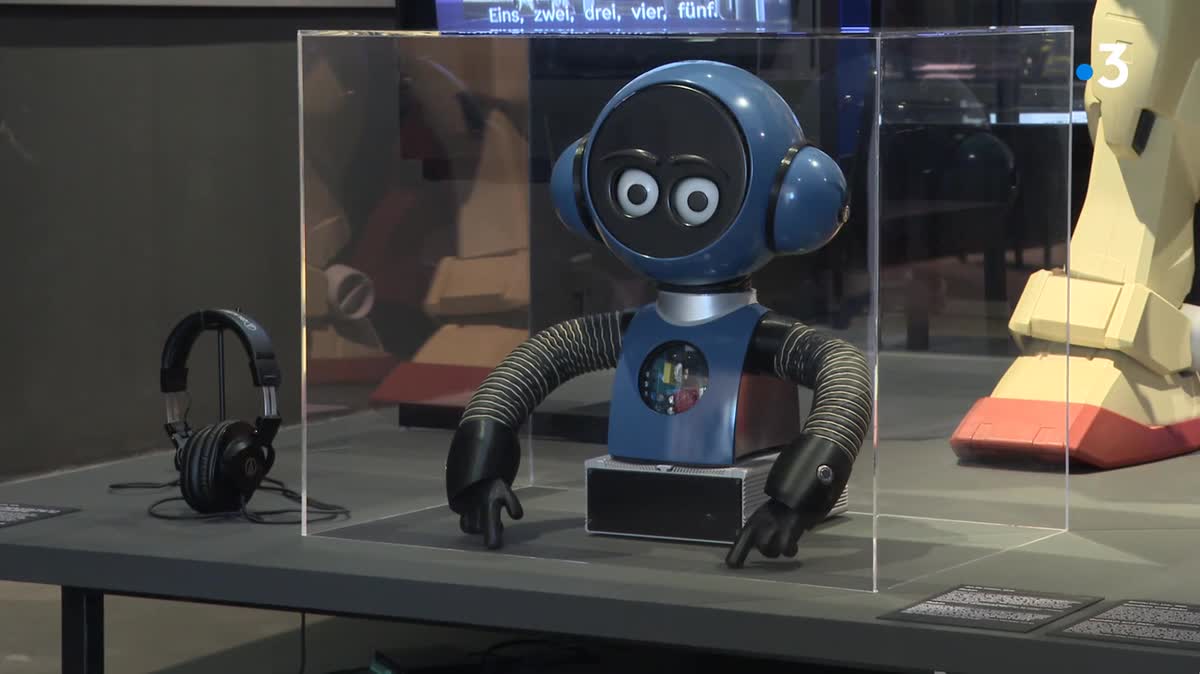 Le robot, mot fourre-tout, est l'objet de cette exposition riche et réflexive