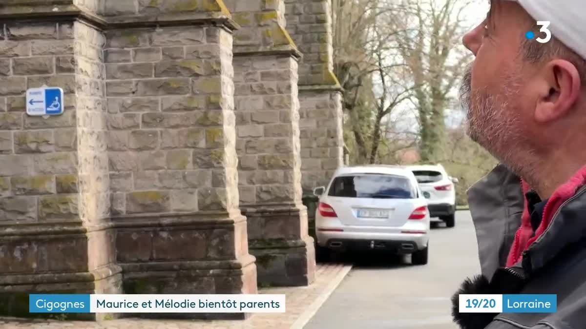 C’est le couple de cigognes phare de Sarralbe, en Moselle-Est. Maurice est sédentaire et Mélodie migratrice.