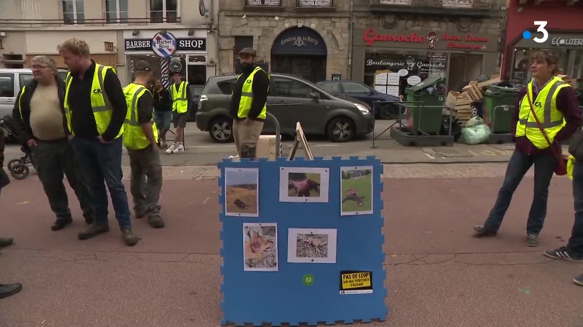 L'association One Voice a organisé un rassemblement ce samedi 14 octobre pour la défense et la protection du loup.