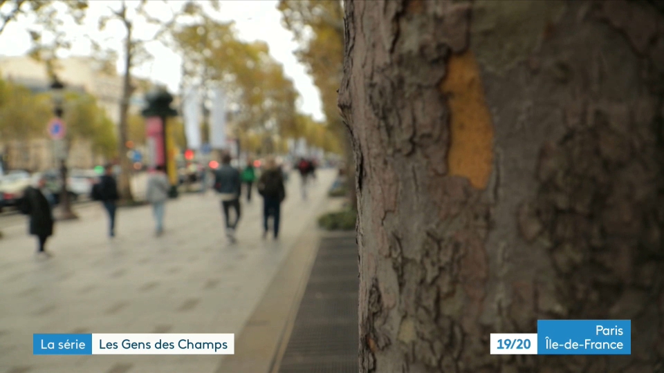 Avenue des Champs-Elysées