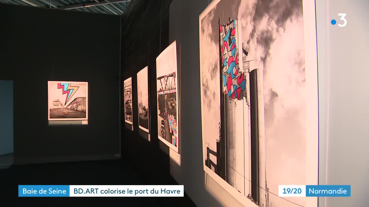 Au Havre, l'artiste Baptiste Duseaux magnifie le port industriel