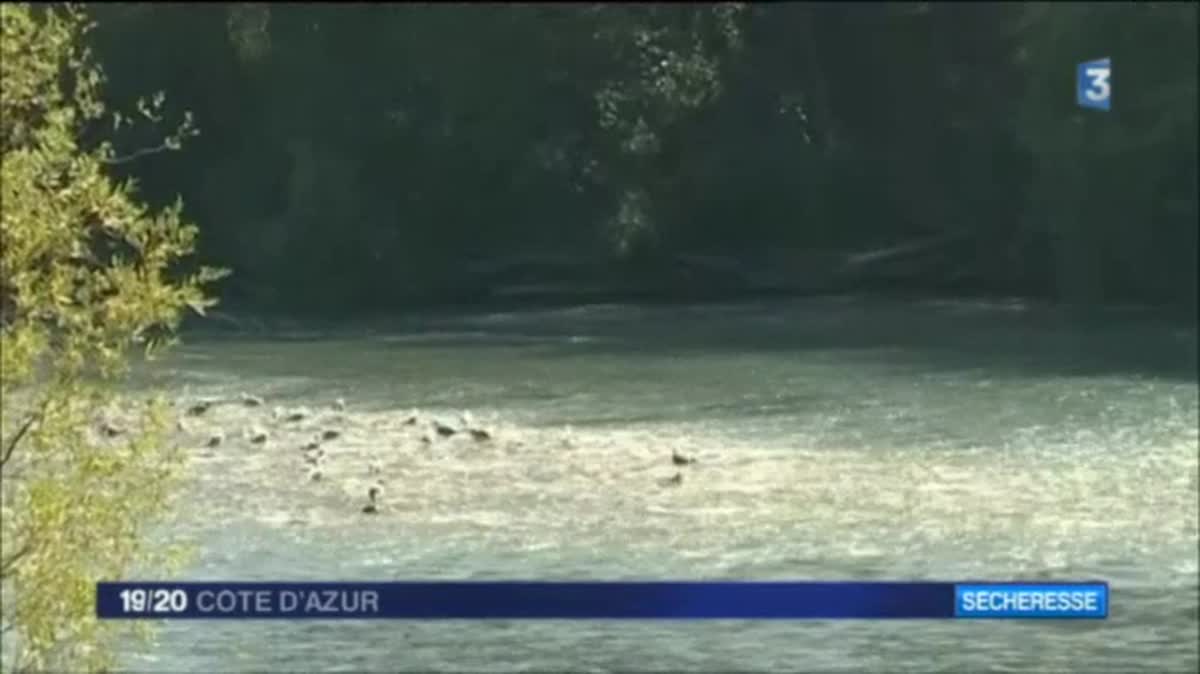 La sécheresse touche tout le sud-est de la France.