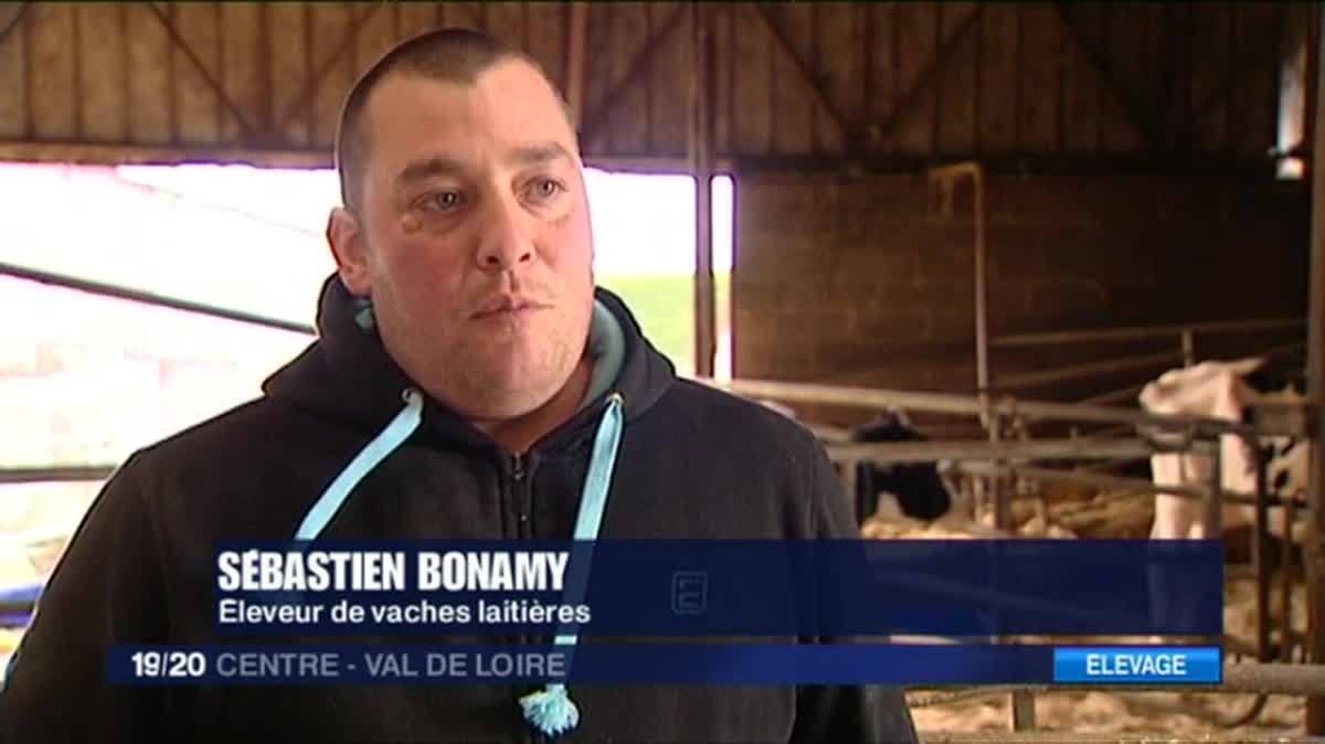 Fée et Jelena ont été sélectionnées pour participer au Concours général agricole 2017. Les deux Prim'Holstein sont les seuls bovins du Loiret en compétition au Salon de l'agriculture. 