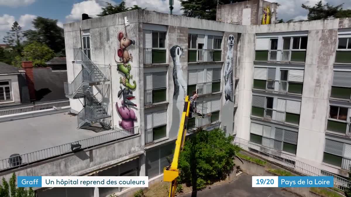 En Loire-Atlantique, un ancien hôpital se transforme en un lieu artistique éphémère