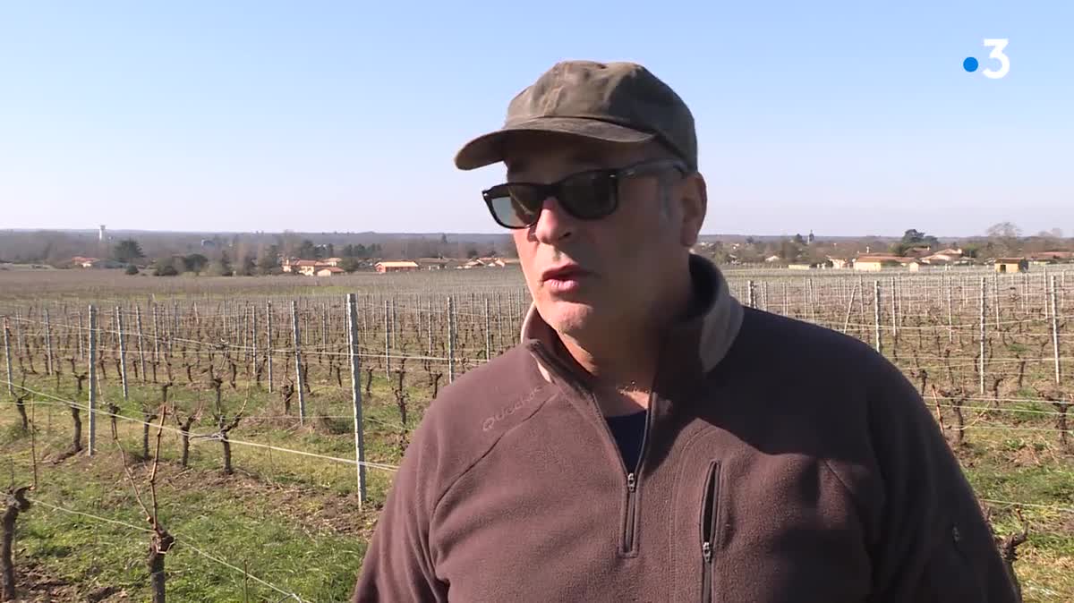 En plaine crise viticole, environ 300 viticulteurs de Gironde ont exprimé le souhait d'arrêter leur activité selon une étude de la Chambre d'Agriculture de Gironde