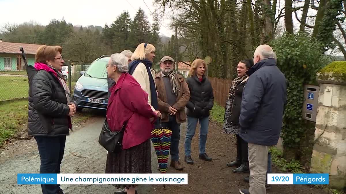 Depuis 150 ans, à Chancelade, l'entreprise Champidor produit des champignons de Paris. Cultivés en biologique, ces champignons ont besoin d’un mélange de compost et de fumier pour grandir.