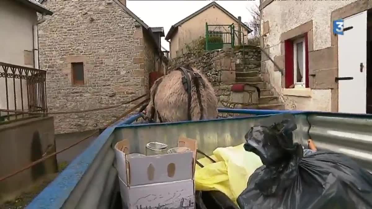 L'âne Hansi ramasse les déchets dans les rue de Faux-la-Montagne (23)