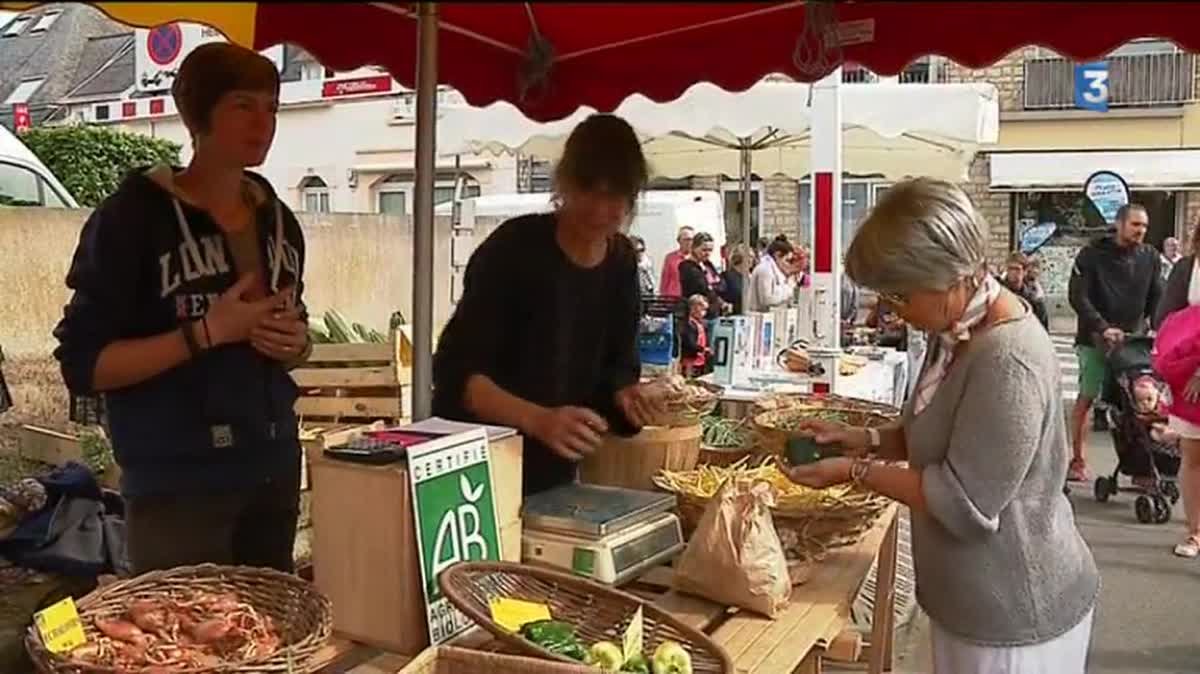 Le distributeur automatique d'oeufs de ces aviculteurs à Trégunc (29) se vide plus rapidement