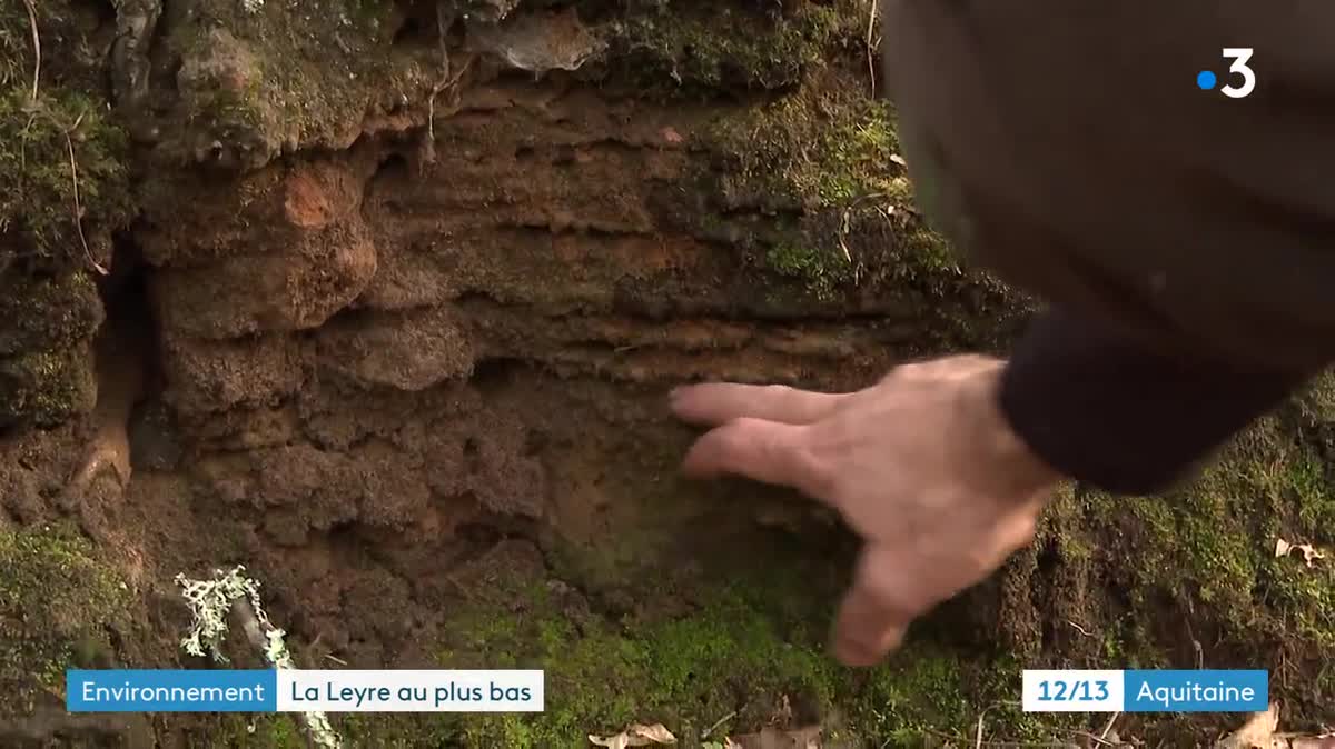 Le niveau de la Leyre est extrêmement bas pour un mois de Novembre