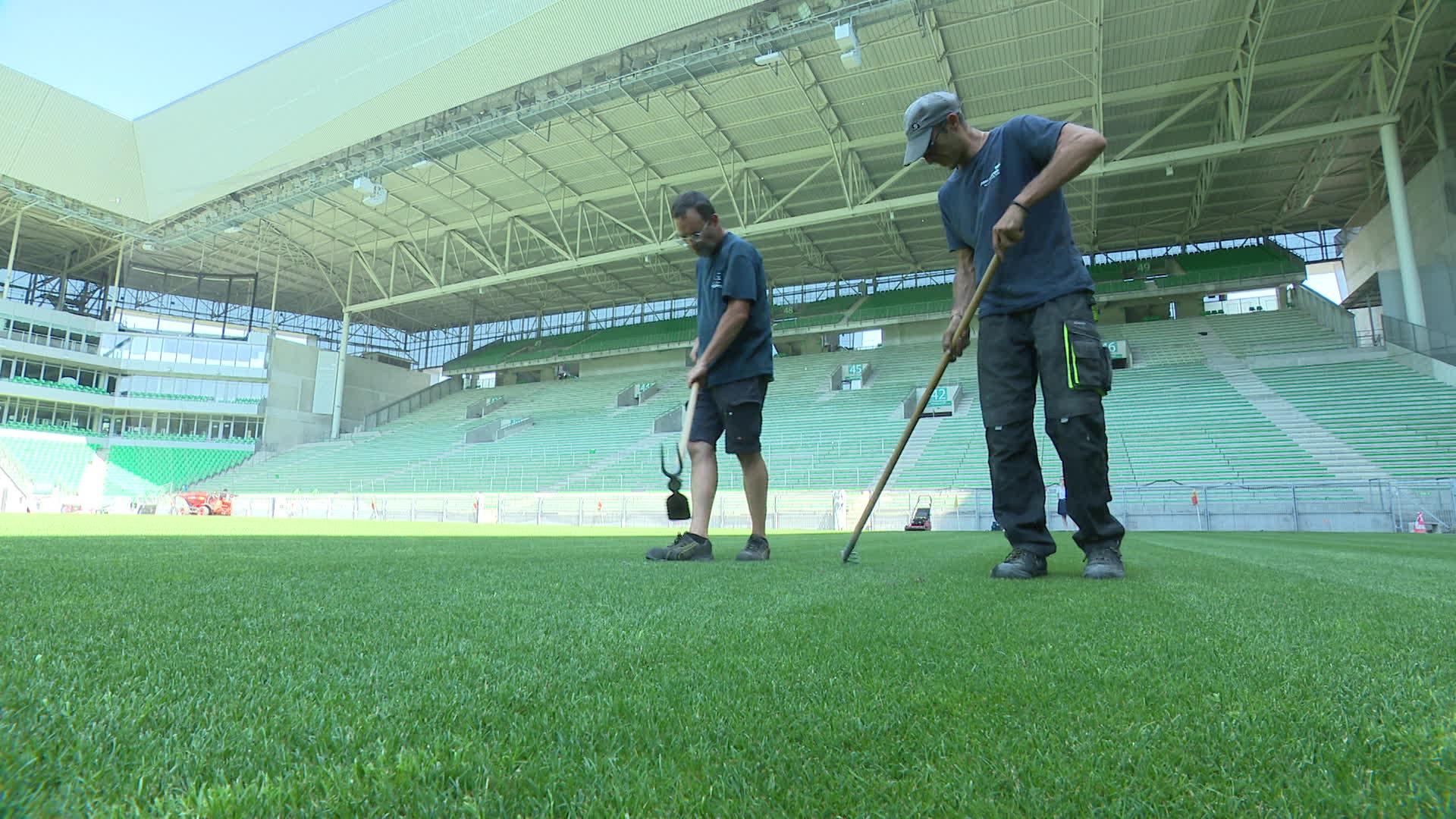 L'alternance des matches de rugby et de football rend le travail des jardiniers du stade Geoffroy Guichard de Saint-Etienne plus complexe.