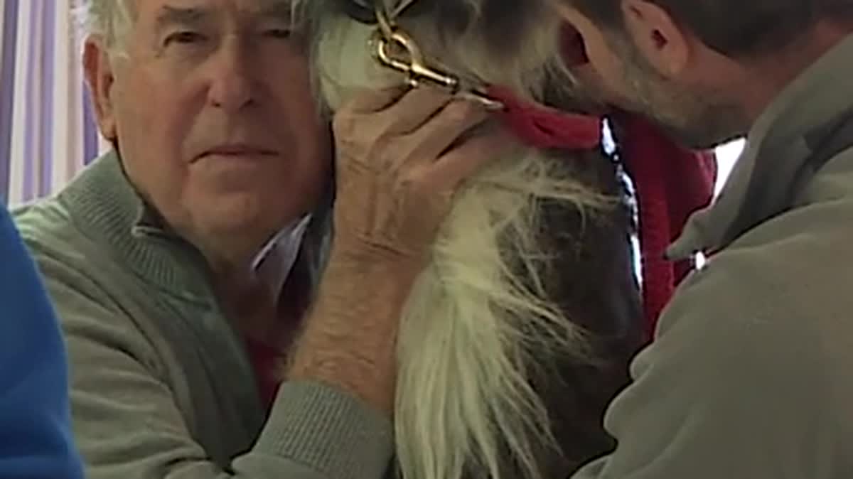 La belle rencontre entre Jules le lama et les personnes âgées dans un Ehpad à Ollioules dans le Var.