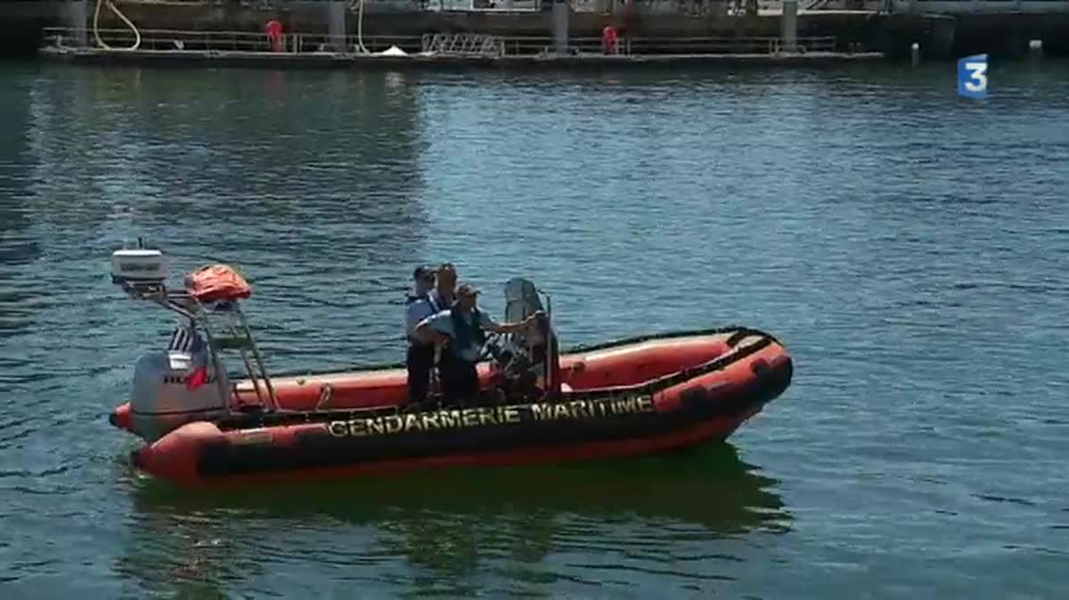 Débarquement du poisson au port de Keroman