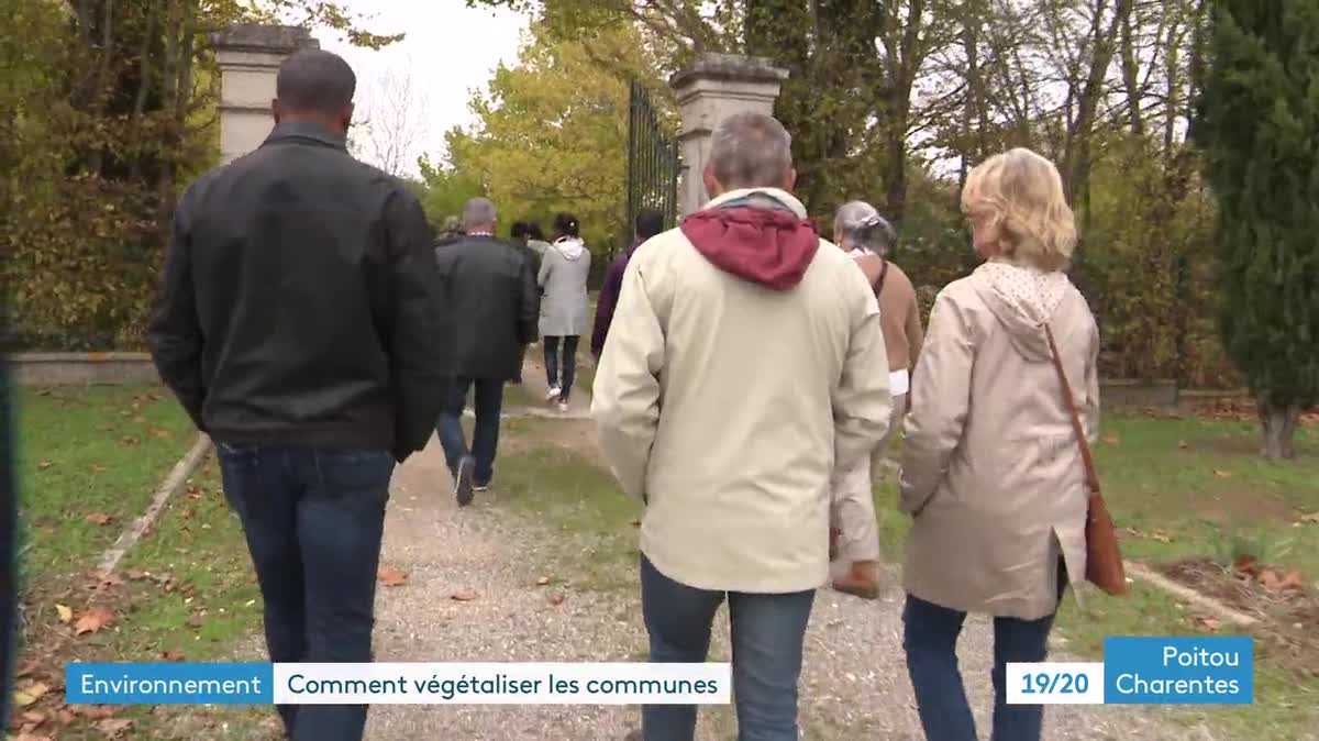 Stage de végétalisation en Charente