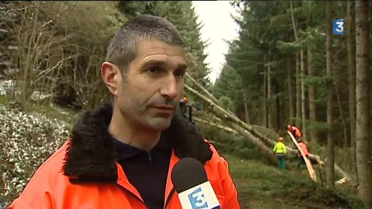 Plusieurs routes départementales sont encore coupées par des arbres tombés à terre en Haute-Loire ce mardi matin suite à la tempête Zeus. Notamment dans le secteur d'Allegre, La Chapelle Bertin (photo).