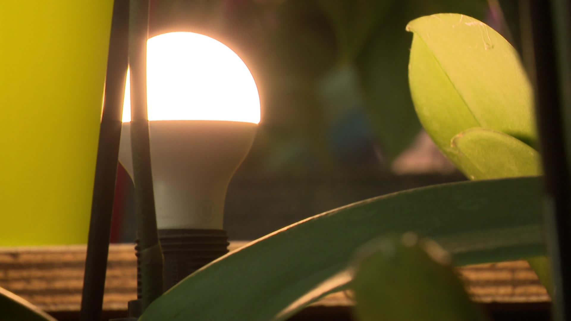 Une fleuriste de la ville tente de réduire sa facture d'électricité en limitant le nombre d'éclairages allumés dans son magasin.