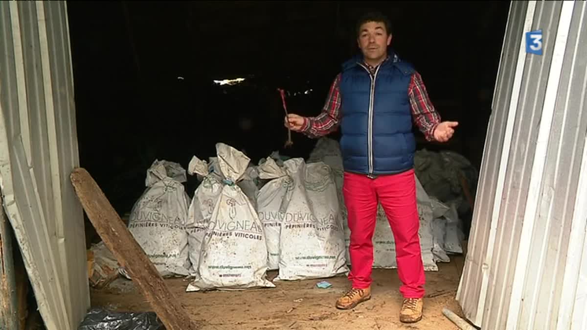 Philippe et Vania Avril, un couple franco-suisse, plantent les premiers ceps du futur vignoble Saint-Bazile de la Roche