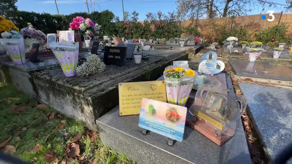 Dans ce cimetière, on célèbre l'attachement avec son animal de compagnie, comme un membre de la famille dont on aime se souvenir, après la mort.