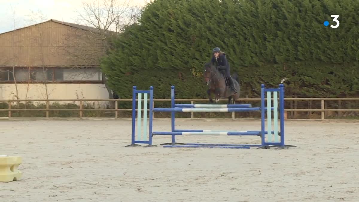 Salon Du Cheval Les Poneys Sont A L Honneur Au Longines Masters