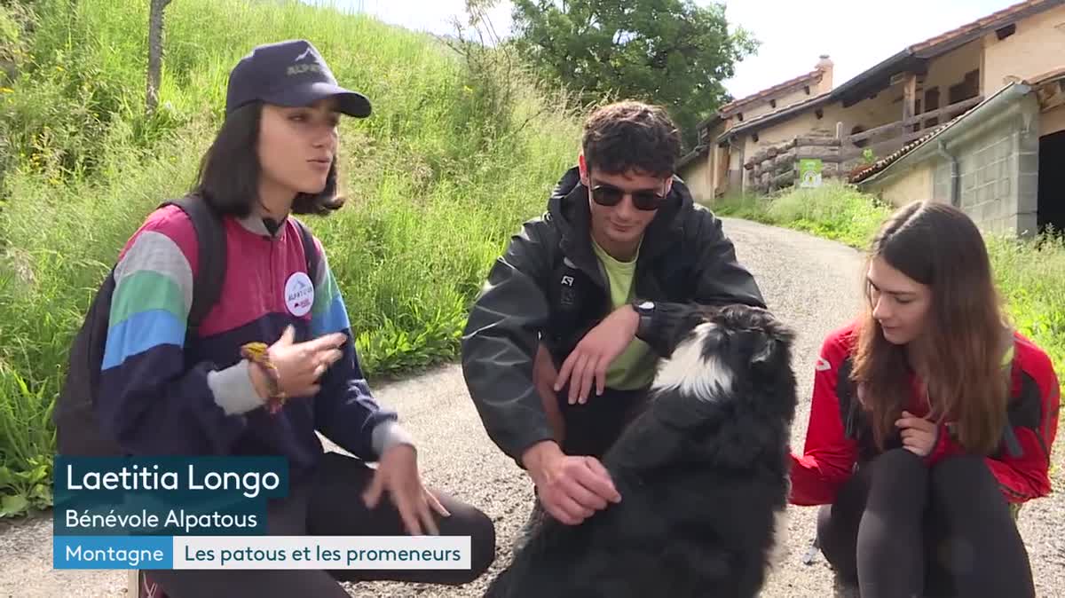 Les bénévoles de France Nature Environnement vont à la rencontre des randonneurs pour les sensibiliser au bon comportement à adopter près d'un troupeau.