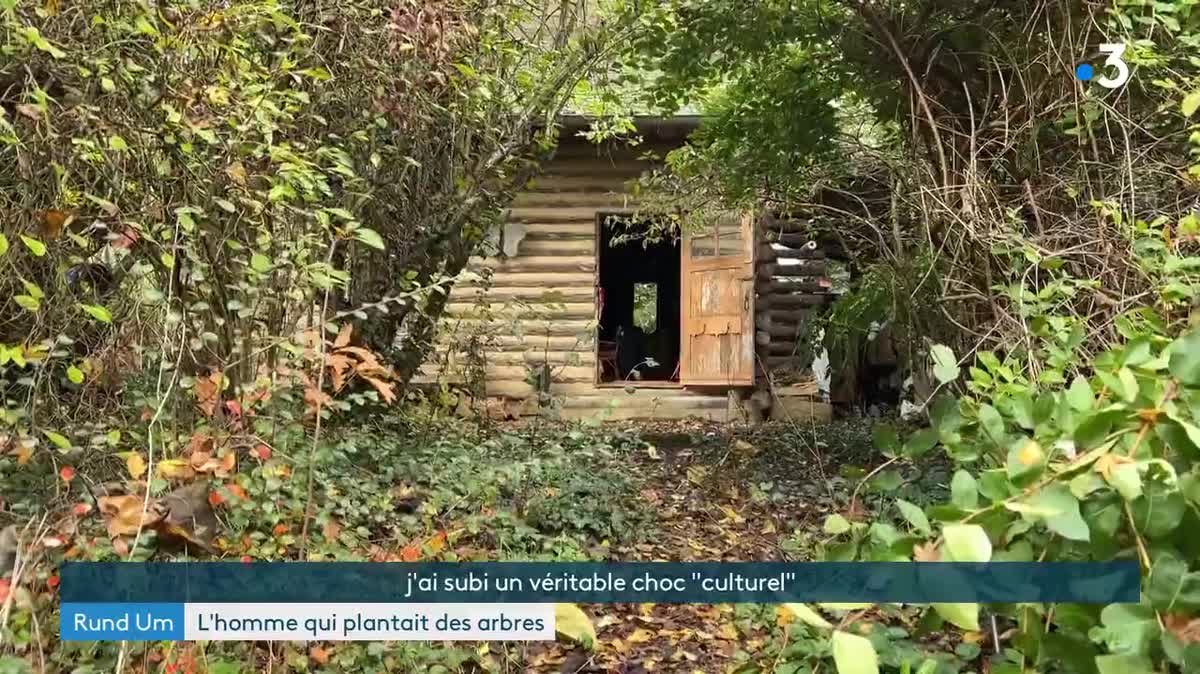 Jean-Louis Amman au coeur de sa forêt.