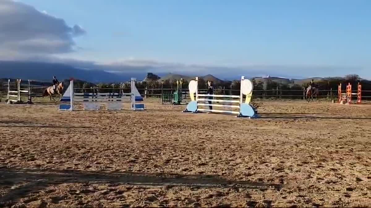 Le public a pu suivre, au plus près, les différetns concours de saut d'obstacles.