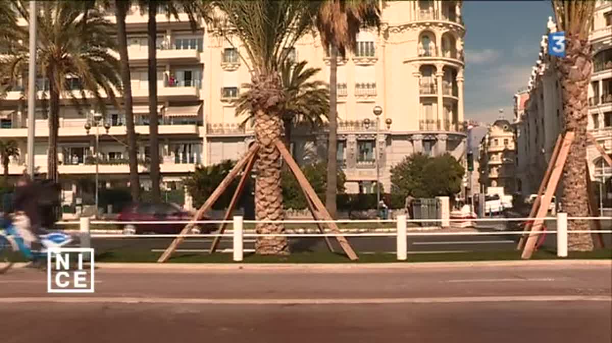 Les travaux d'embellissement et de sécurisation de la Promenade des Anglais vont coûter 17 millions d'euros