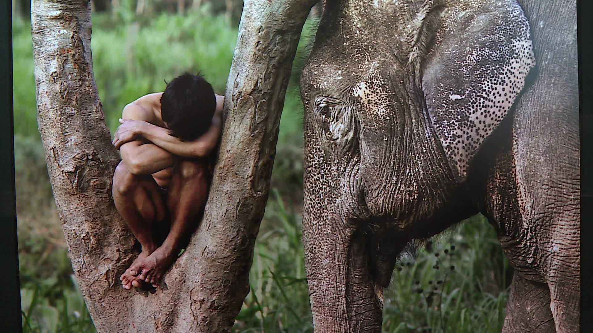 Steve McCurry au festival international de la photo animalière et de nature de Montier-en-Der