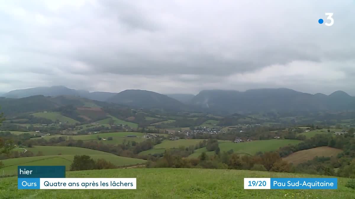 En octobre 2018, deux ourses slovènes étaient lâchées dans les montagnes béarnaises, via cette cage héliportée.