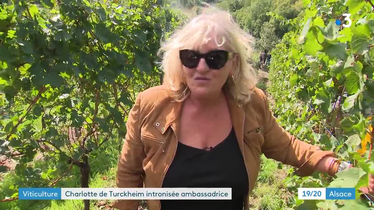 Aux côtés du maire de Turckheim Benoit Schlussel, Charlotte de Turckheim a trinqué à la 25e année de sa cuvée.