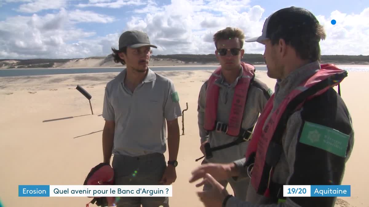 Vue aérienne du banc d'Arguin