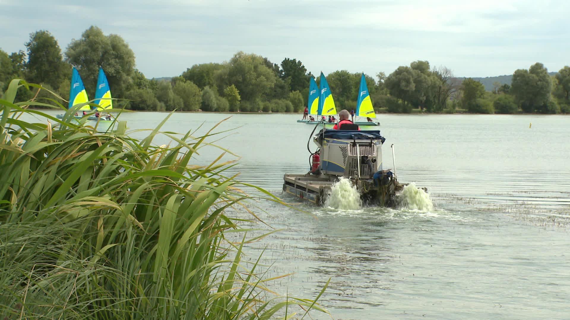 La faucardeuse passe sur le lac de Vaivre pour couper les herbes aquatiques qui prolifèrent