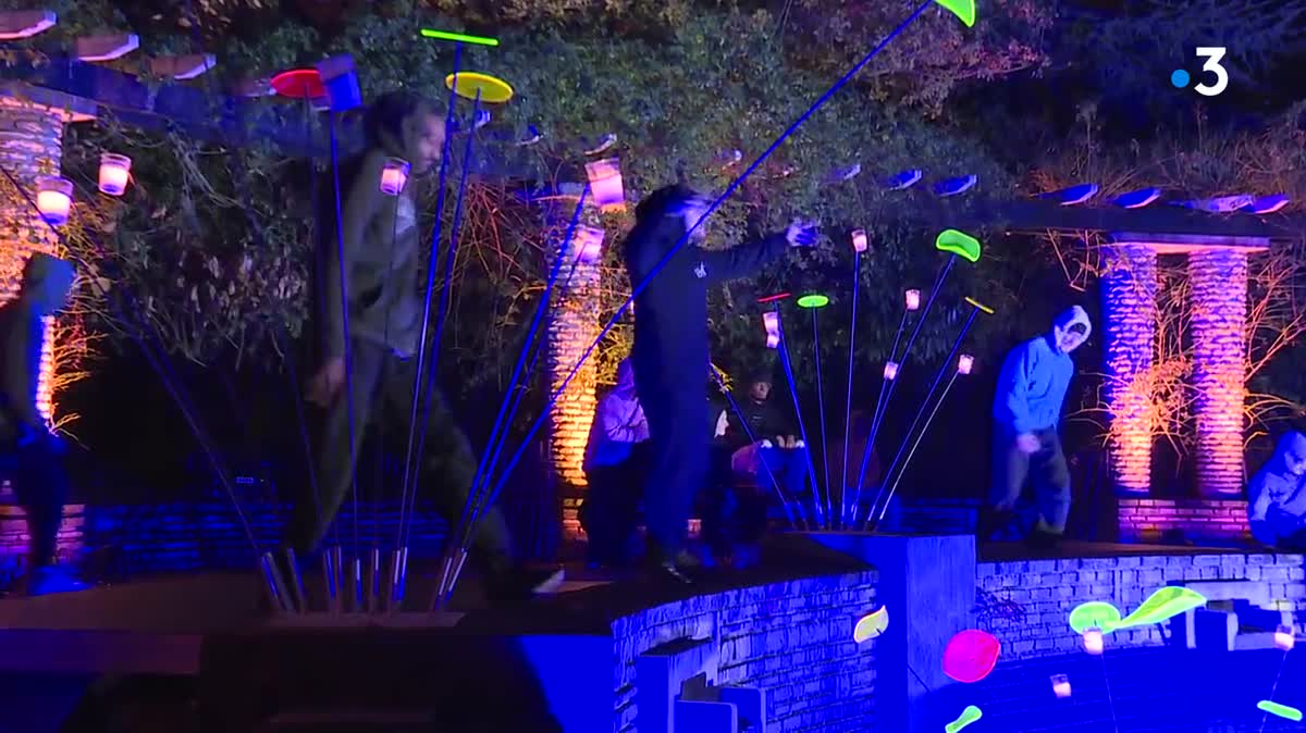 Fête des lumières 2022. Des fleurs lumineuses au Parc de la Tête d'Or